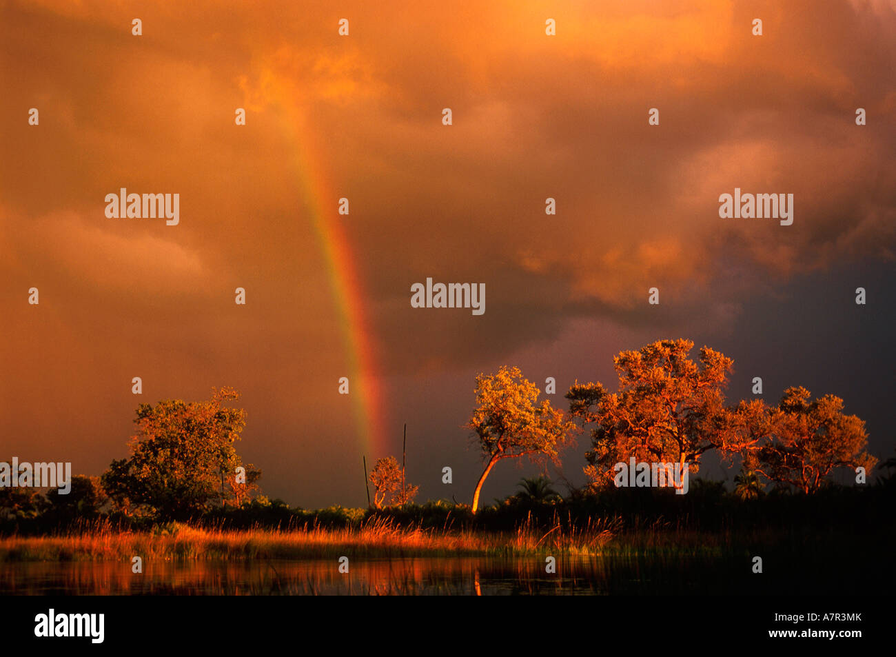 Regenbogen und Gewitterwolken Okavango Delta Jao-Botswana Stockfoto