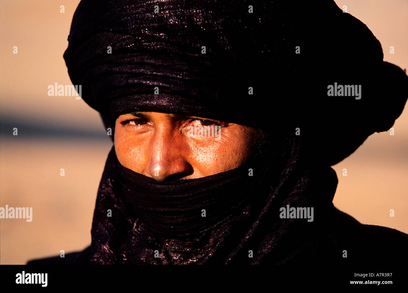 Libya Sheep Stockfotos & Libya Sheep Bilder - Alamy