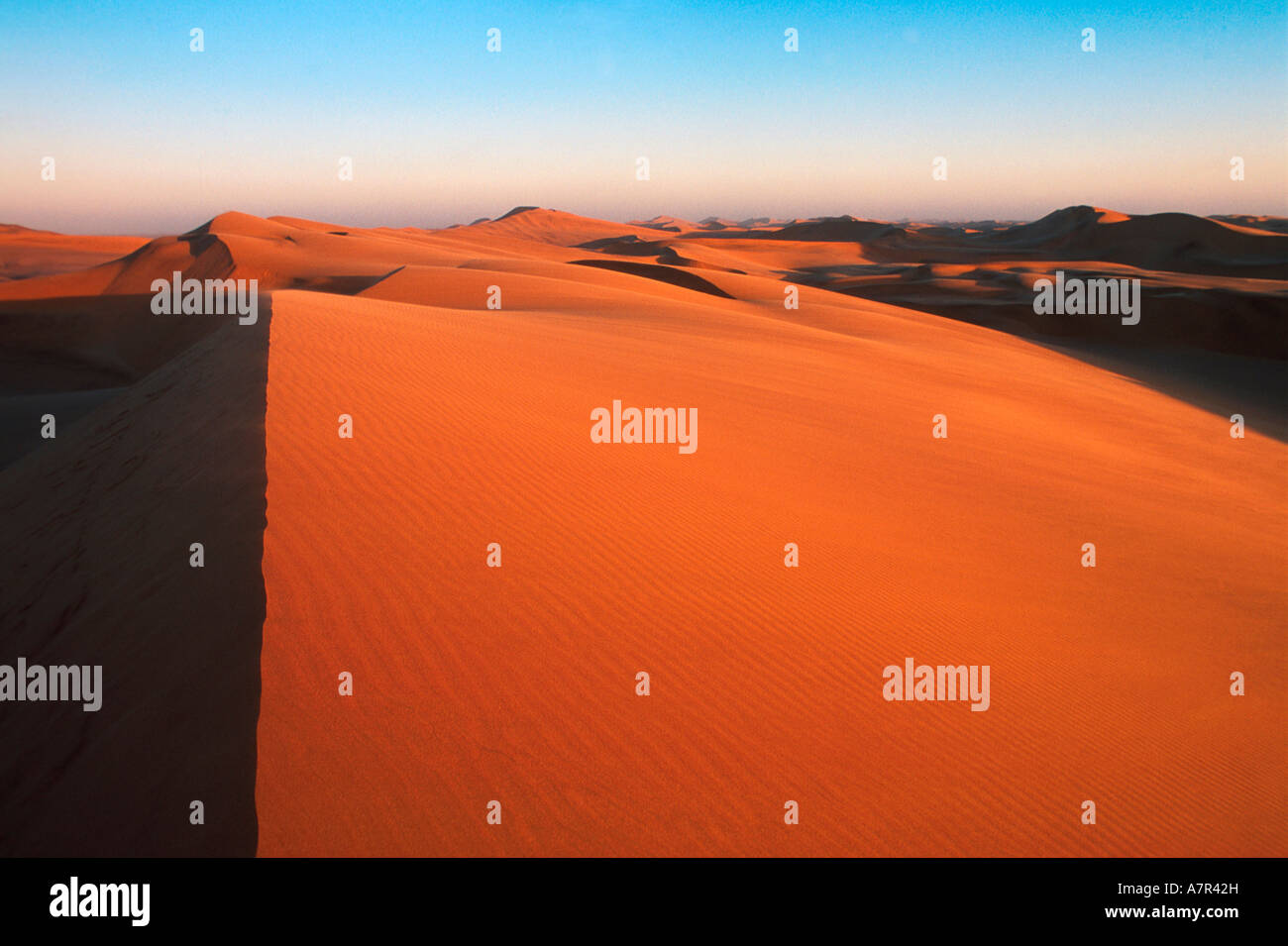 Sanddünen erstreckt sich bis zum Horizont Sossusvlei Namib Wüste Namibia Stockfoto