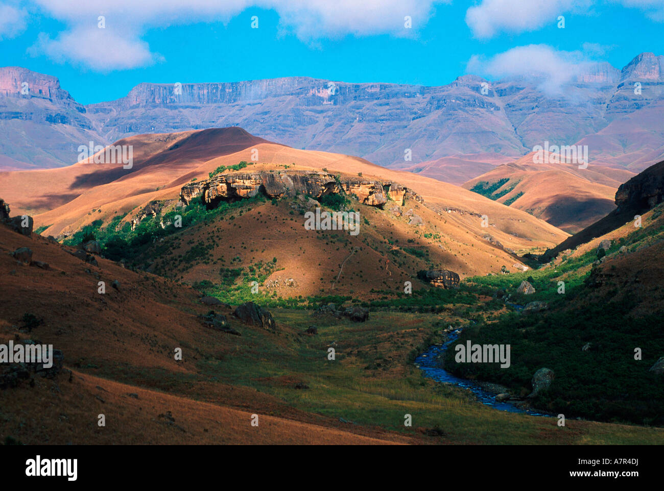 Eine Bergszene mit Blick auf einen kleinen Bach und die majestätischen Drakensberge im Hintergrund Drakensberg Kwazulu Natal Stockfoto