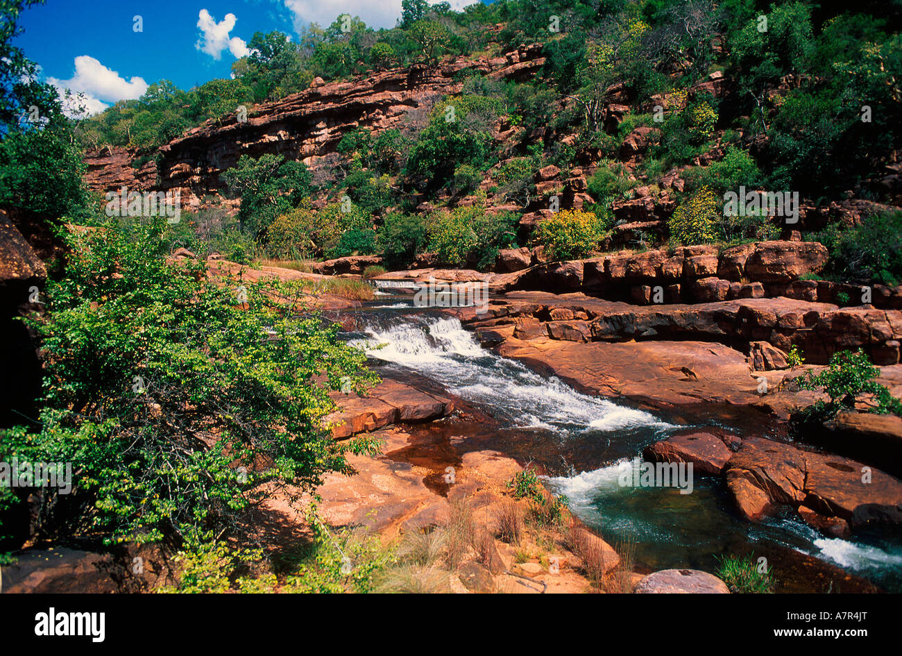 Goud River Wasserfall Klippen und sedimentären Gesteinsschichten Berglust Spiel Farm Waterberg Mountains Northern Province Stockfoto