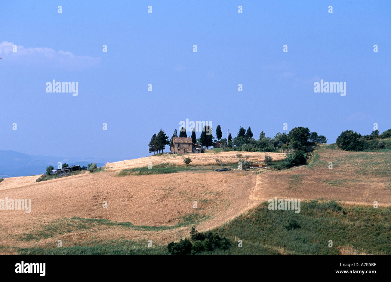 Bauernhöfe in der Toskana Landschaft Italien Stockfoto
