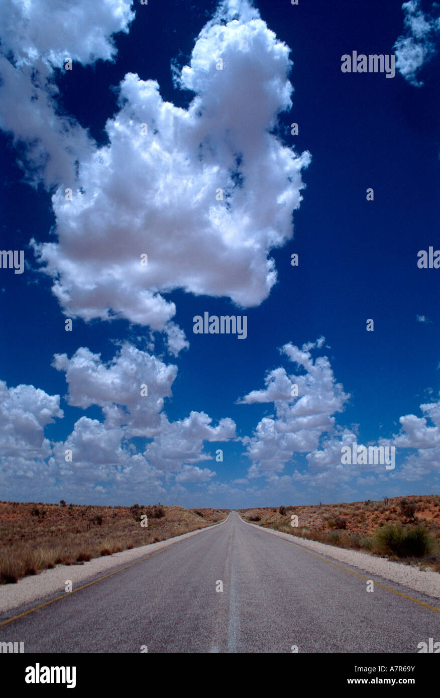 Eine Teerstraße erstreckt sich in die Ferne mit verstreuten Cumulus-Wolken über der Kalahari-Wüste in der Nähe von Upington Stockfoto