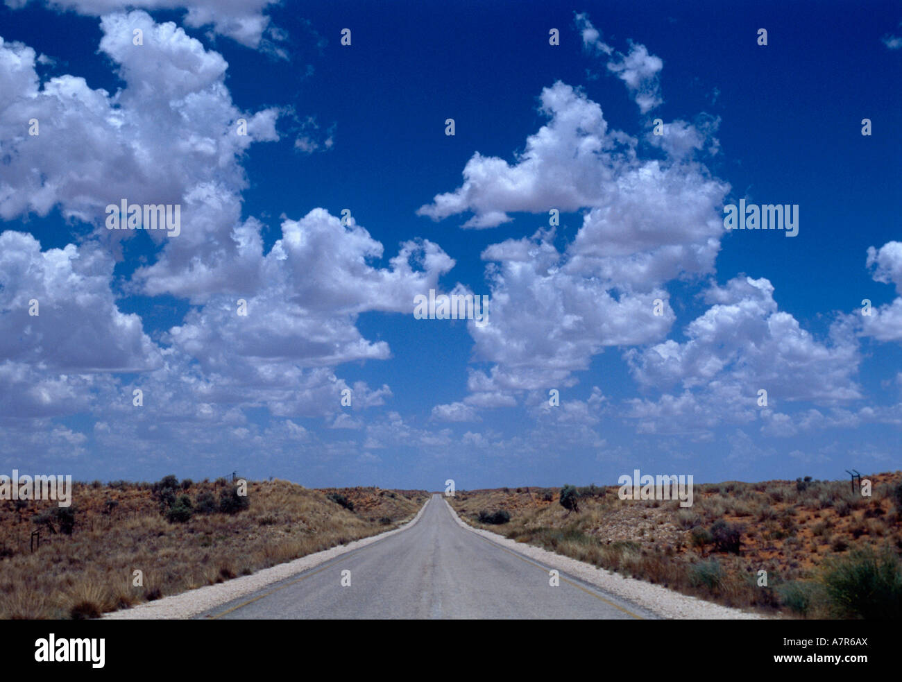 Eine Teerstraße erstreckt sich in die Ferne mit verstreuten Cumulus-Wolken über der Kalahari-Wüste zwischen Molopo und Upington Stockfoto