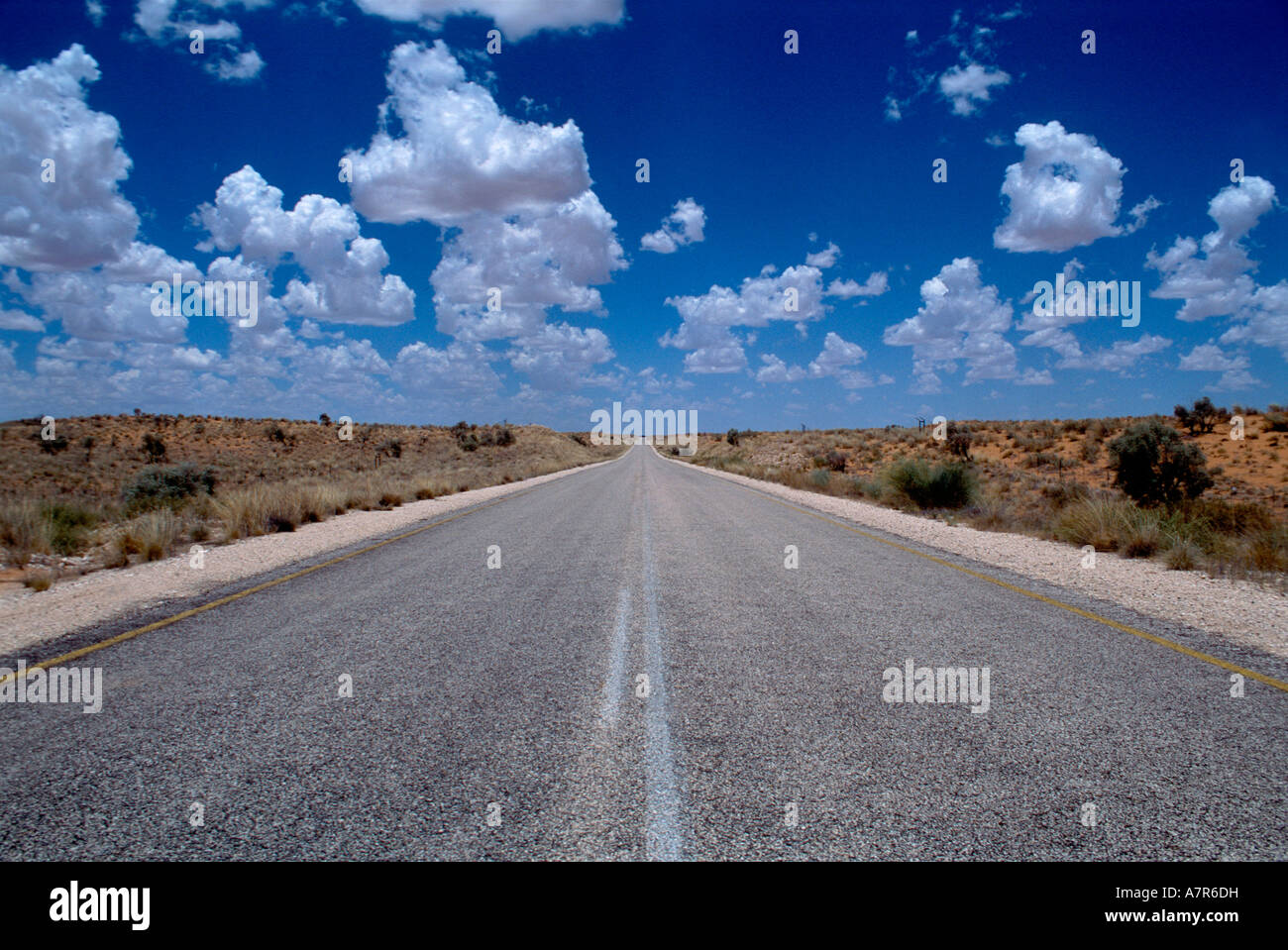 Eine Teerstraße erstreckt sich in die Ferne mit verstreuten Cumulus-Wolken über der Kalahari-Wüste zwischen Molopo und Upington Stockfoto