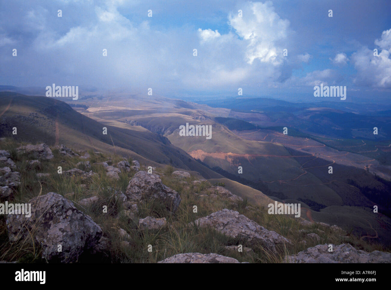 Ein Blick über die hügelige Landschaft in der Forstwirtschaft-Regionen in der Nähe von Sabie Mpumalanga Südafrika Stockfoto