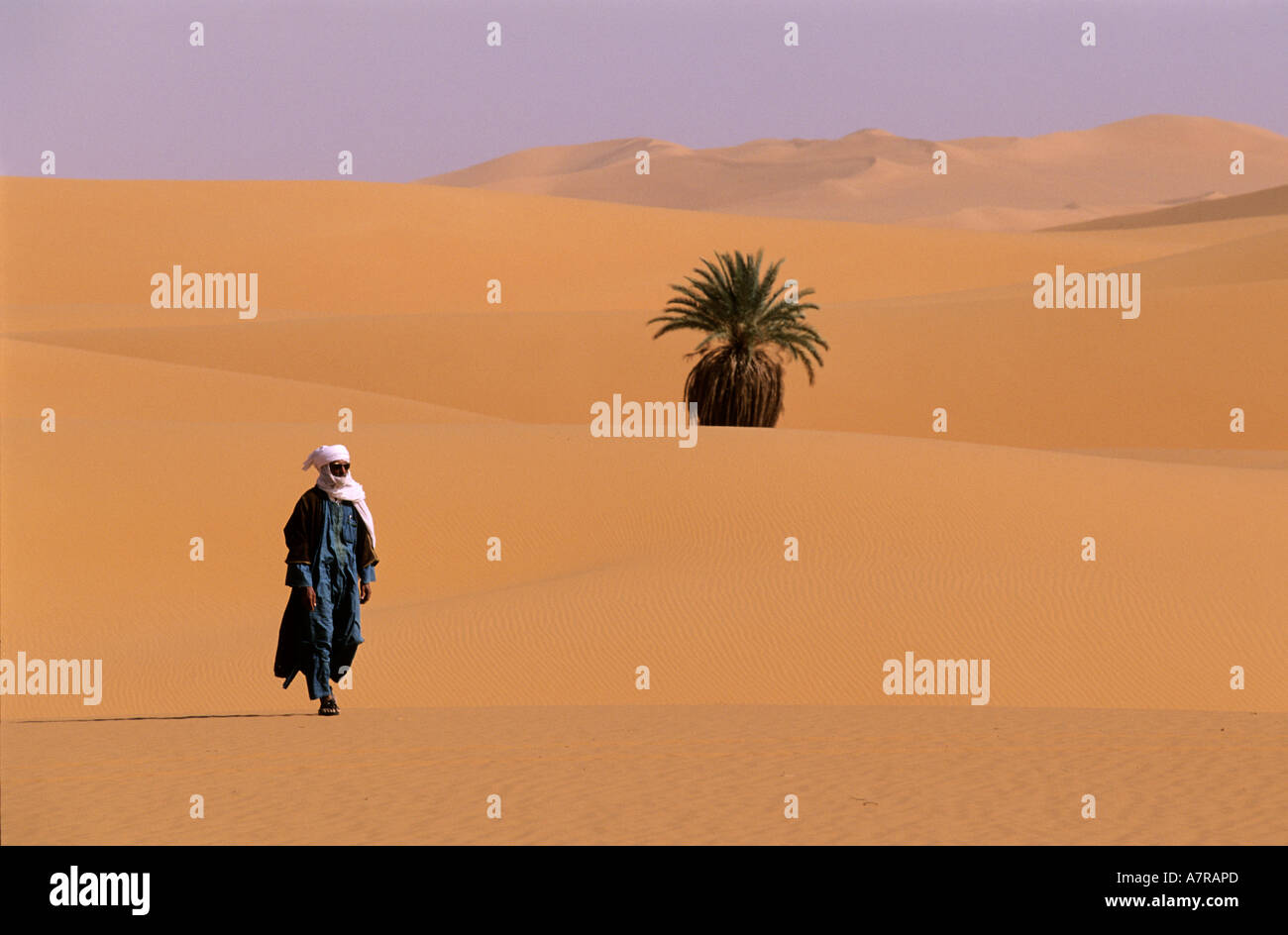 Libyen, Region der Wüste, Fezzan (Sahara), kleine Oase inmitten der Dünen Stockfoto Libyen, Region der Wüste, Fezzan (Sahara), kleine Oase inmitten der Dünen Stockfoto