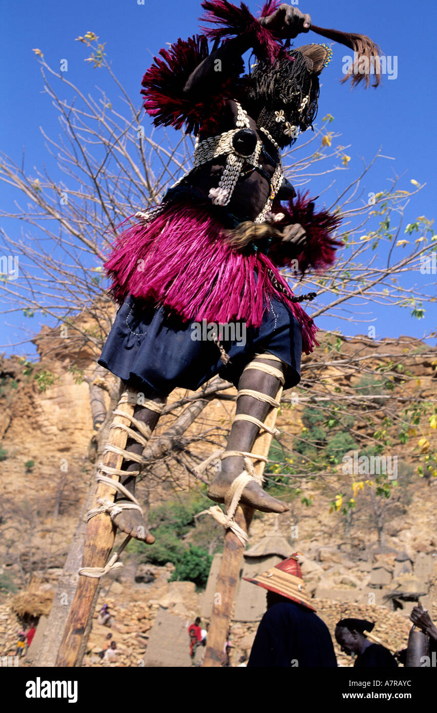 Mali, Dogonland, Dama Tänze (Ende der Trauer) im Dorf Tereli, Maske auf Stelzen kalt Turteltaube Stockfoto