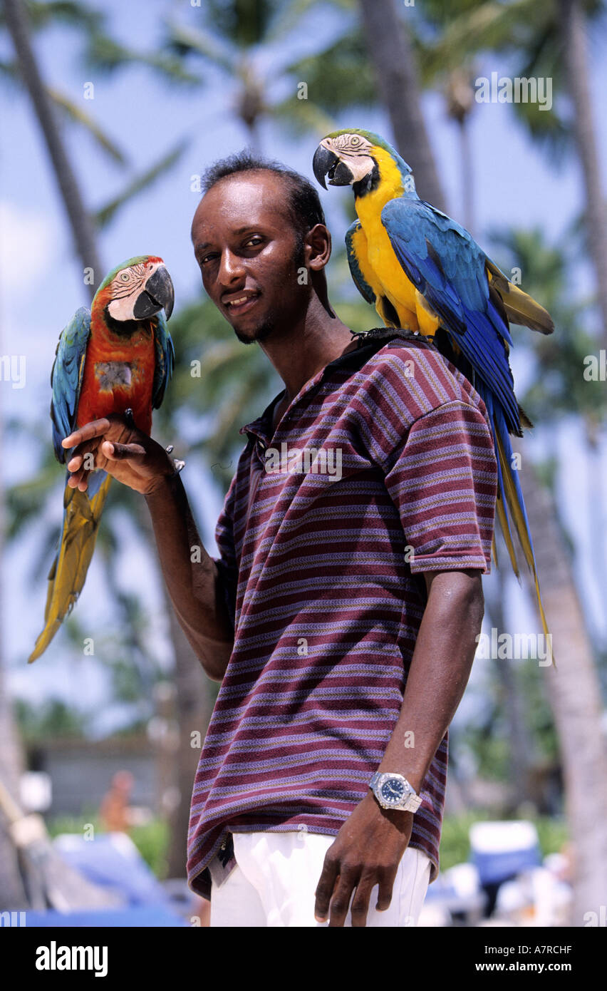 Dominikanische Republik, Punta Cana, Bavaro, Papageien und ihre Züchter am  Strand Stockfotografie - Alamy