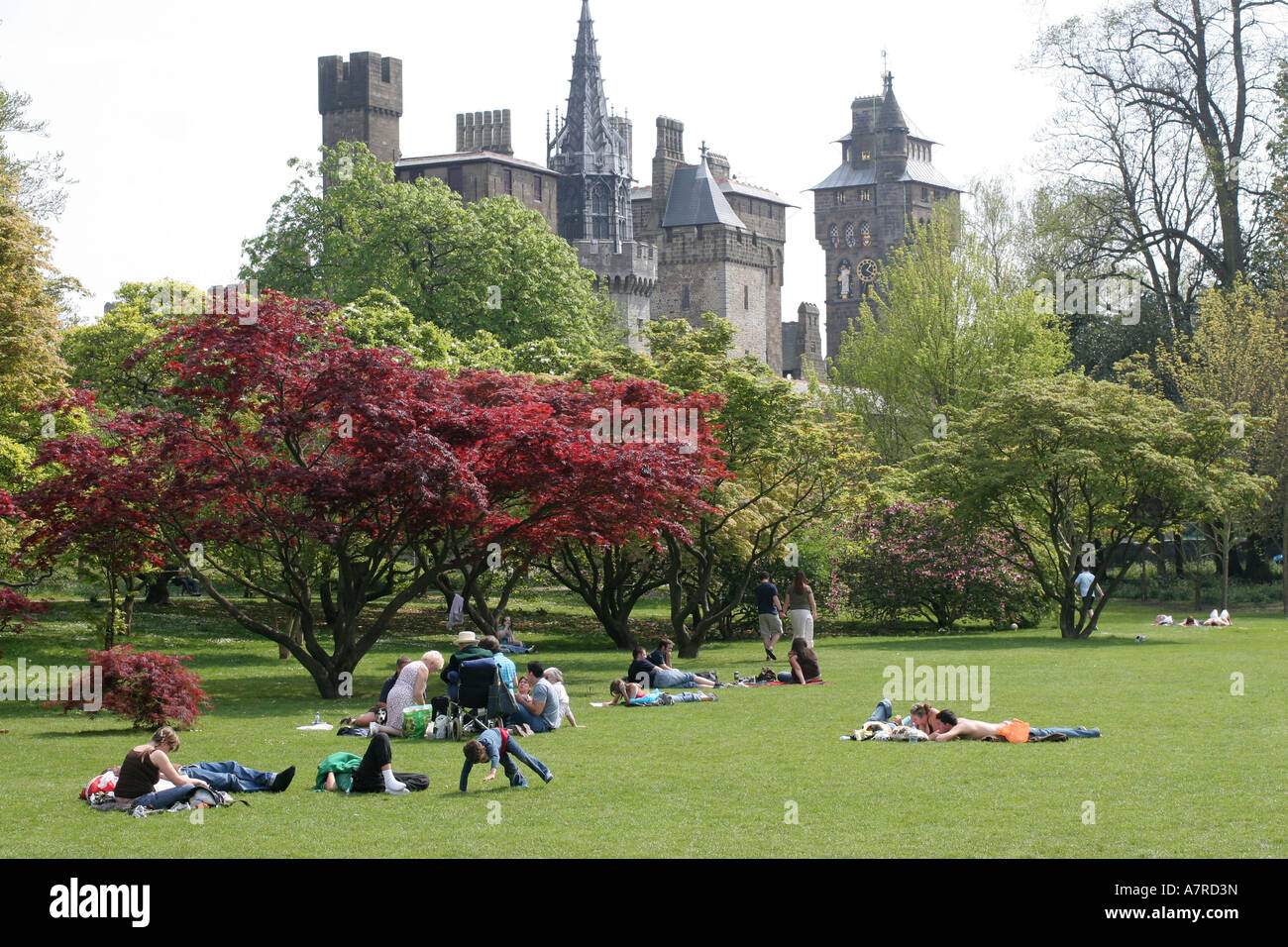 Cardiff Castle und Bute Park, Cardiff, Wales, UK Stockfoto