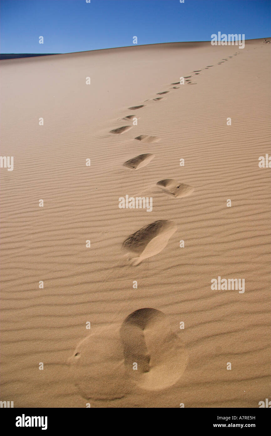 Fußspuren im Sand auf weißen Sanddünen bei Witsand Nature reserve Northern Cape, South Africa Stockfoto