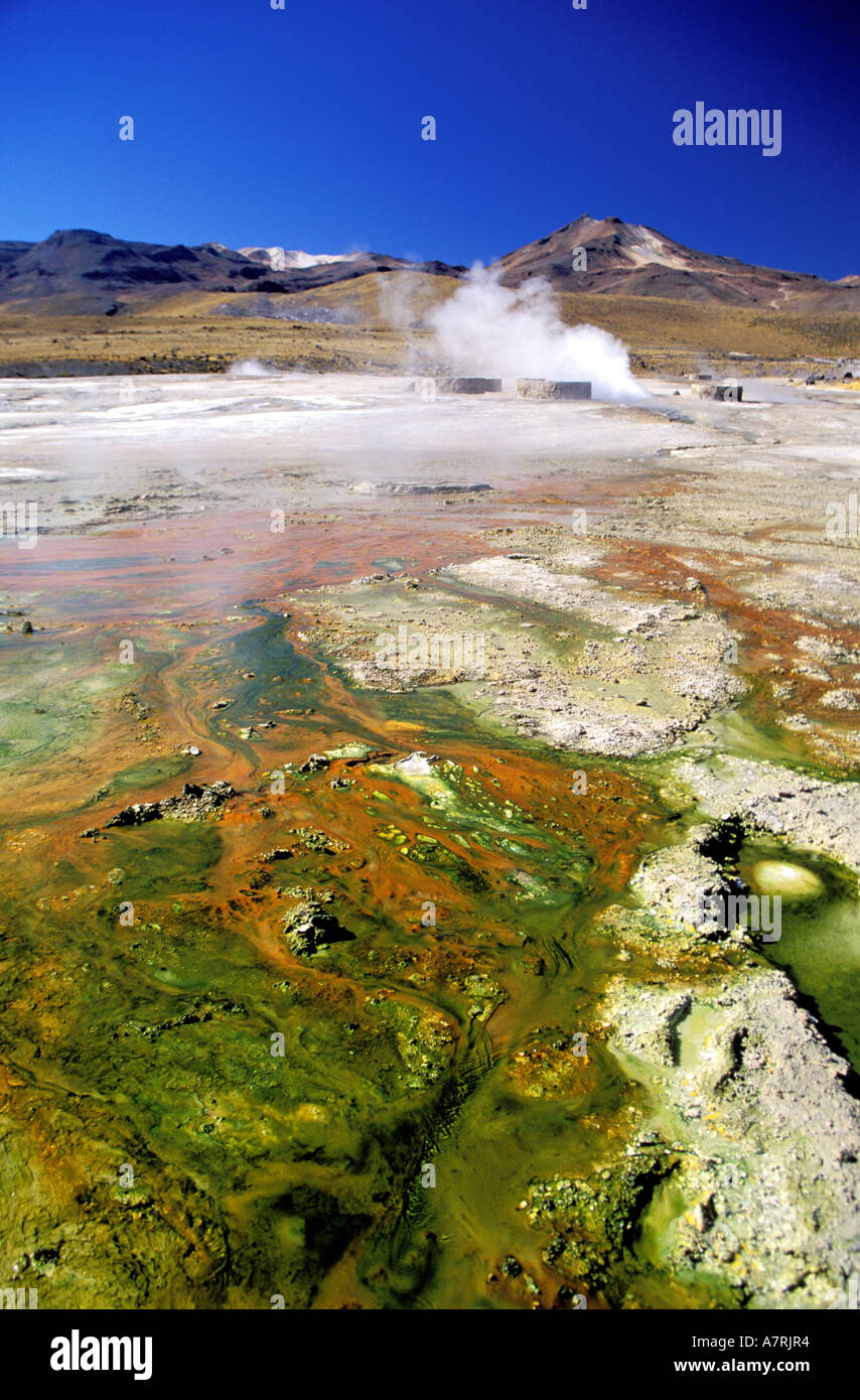 Chile, Atacama Region Tatio Geysire, Konkretion aus Mineralsalzen und Algen, San Pedro de Atacama Stockfoto