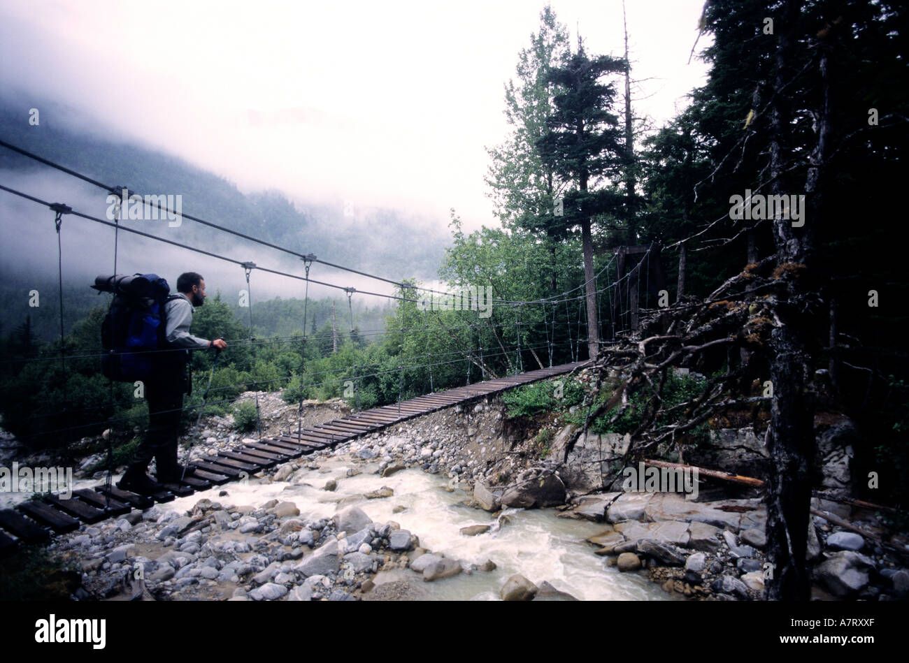 Kanada, Yukon, den Chilkoot Trail, Hängebrücke Stockfoto