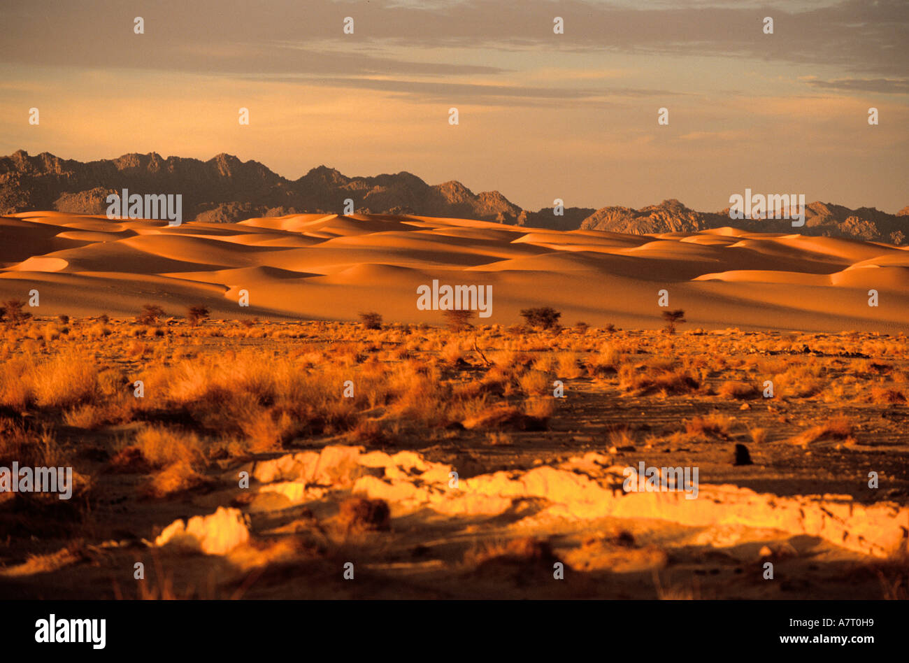 Tenere Niger, Sahara, Wüste, magischen Abend Sonnenlicht in Adrar Chiriet Stockfoto