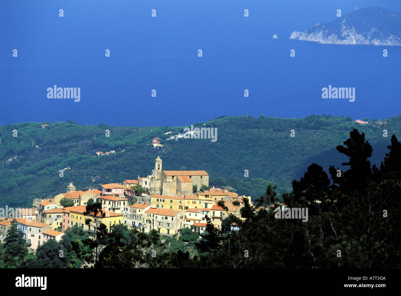 Italien, Toskana, Insel Elba, Poggio Stockfoto