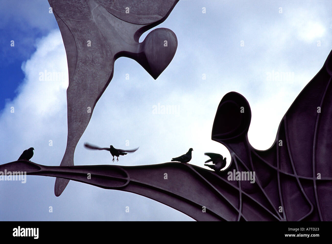 Taube Landung auf Empowerment Skulptur von Stephen Broadbent an der Wasserseite Zentrum in Lincoln, Lincolnshire, Großbritannien Stockfoto