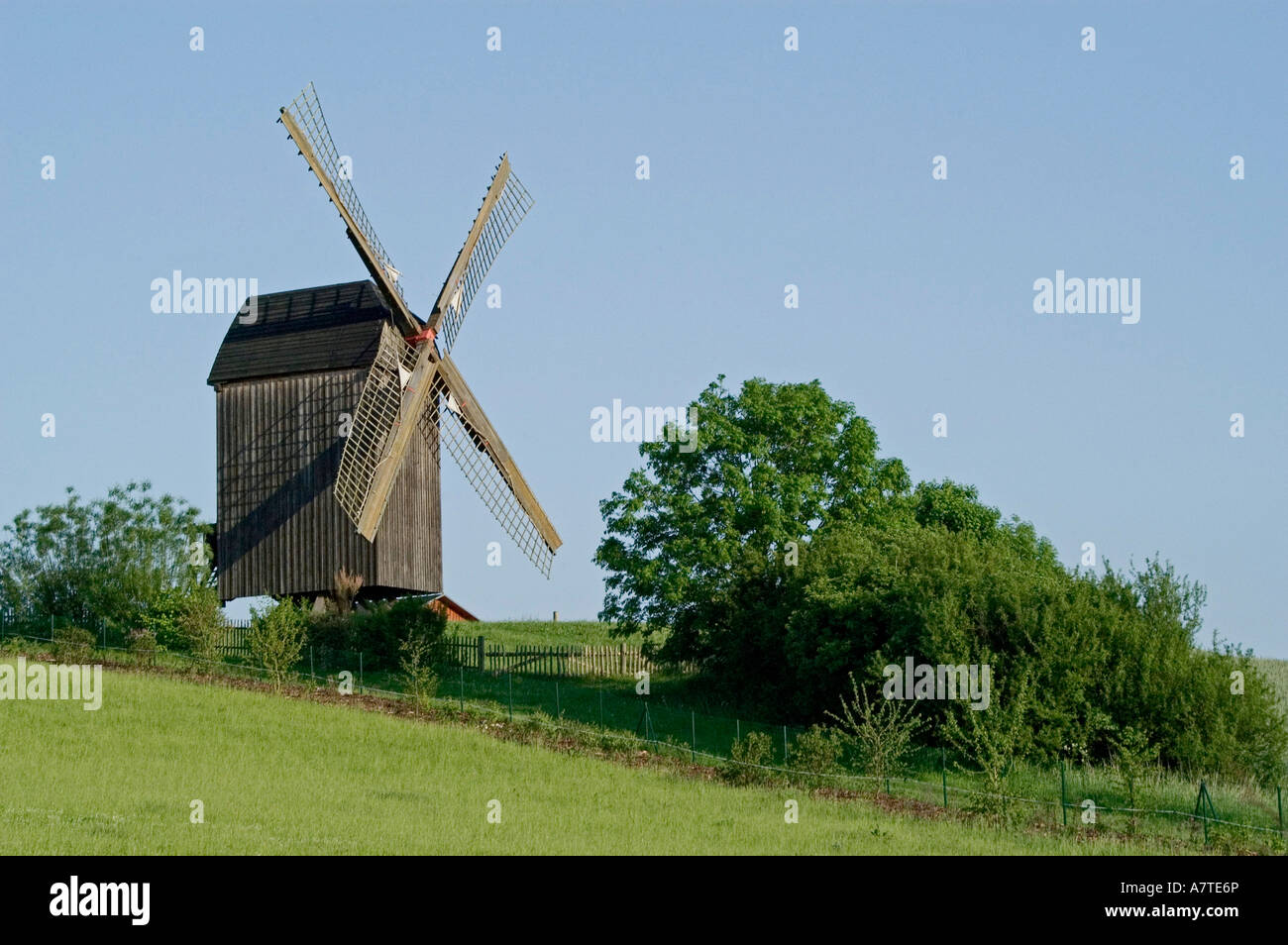 Traditionelle Windmühle auf Grünland, Mecklenburg-Vorpommern, Deutschland Stockfoto
