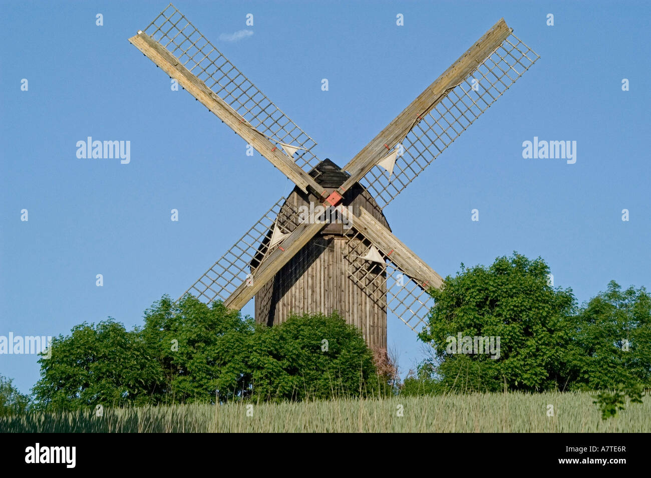 Niedrigen Winkel Blick auf traditionelle Windmühle, Mecklenburg-Vorpommern, Deutschland Stockfoto