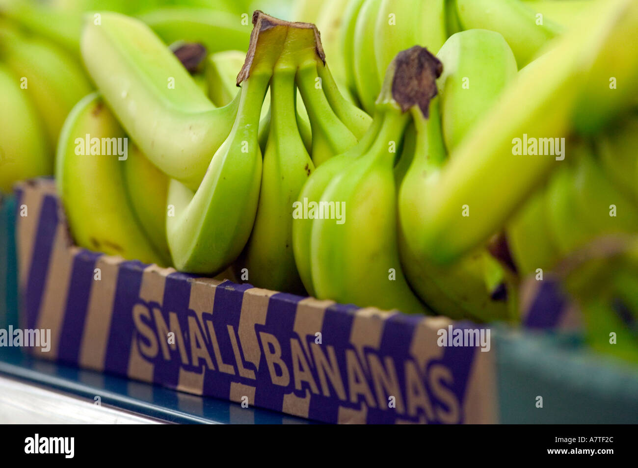 Bananen für den Verkauf in einem Zweig der Tesco UK Stockfoto