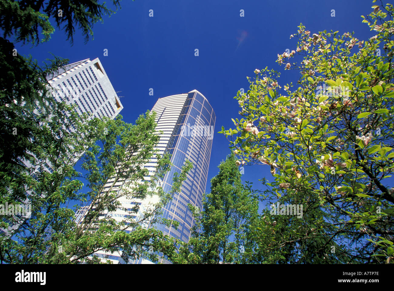 NA, USA, Seattle, Blick auf die Innenstadt von Bauten aus Freeway Park Stockfoto