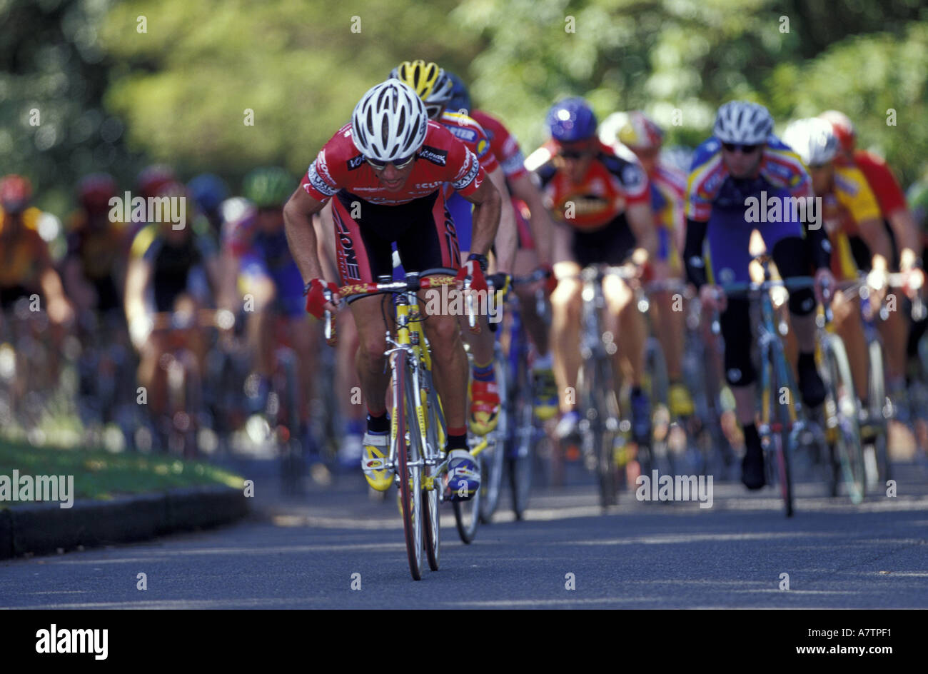 USA, Bundesstaat Washington, Seattle, Volunteer Park Fahrrad Racers. Stockfoto