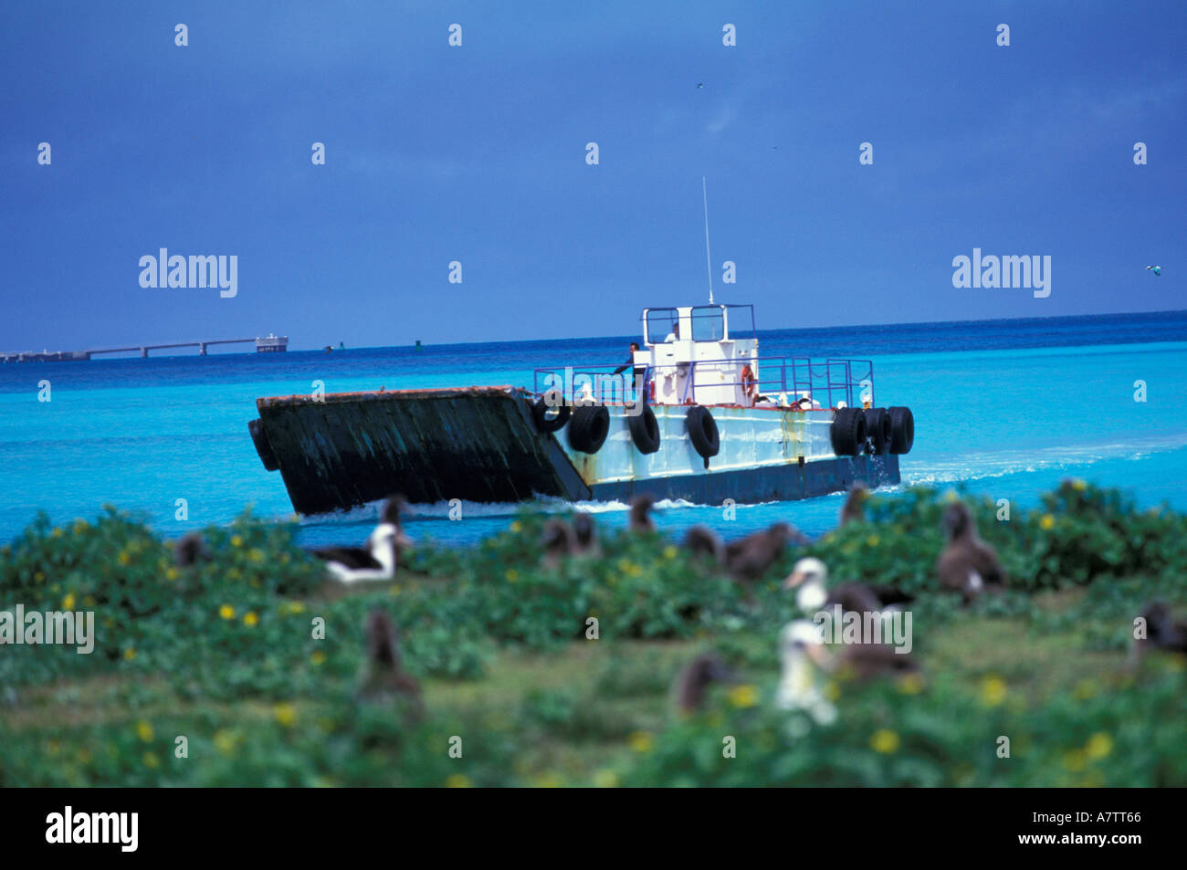 Midway Atoll Island Stockfotos und bilder Kaufen Alamy