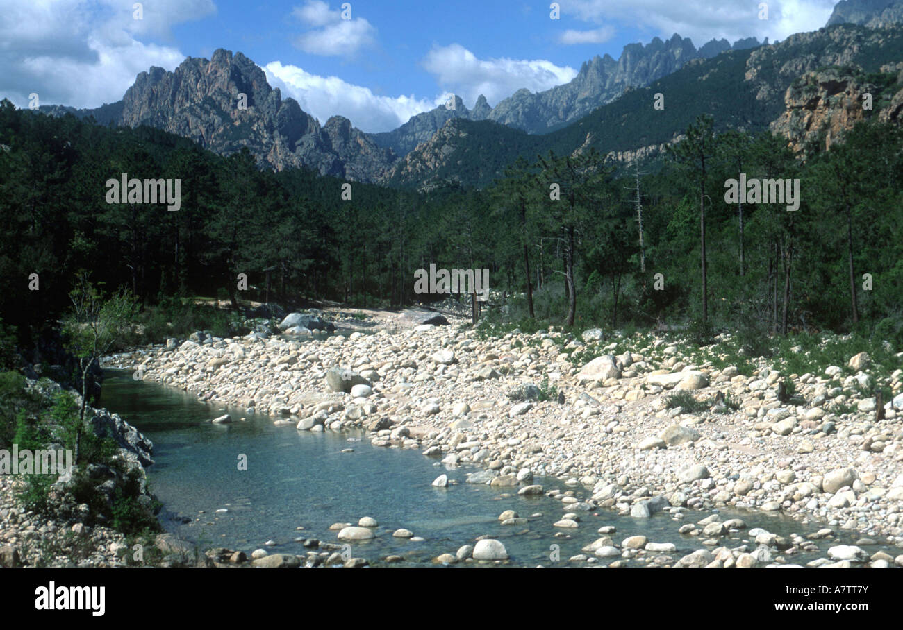 Fluss fließt durch Landschaft, SariSolenzara, Frankreich