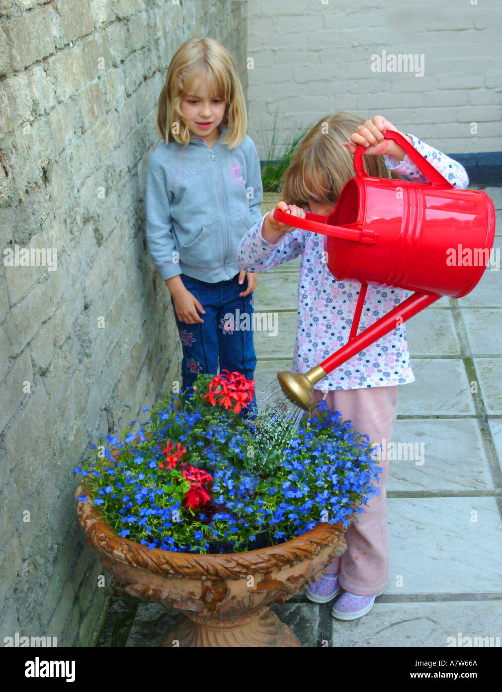 Junge Mädchen mit Bewässerung können Blumen Stockfoto