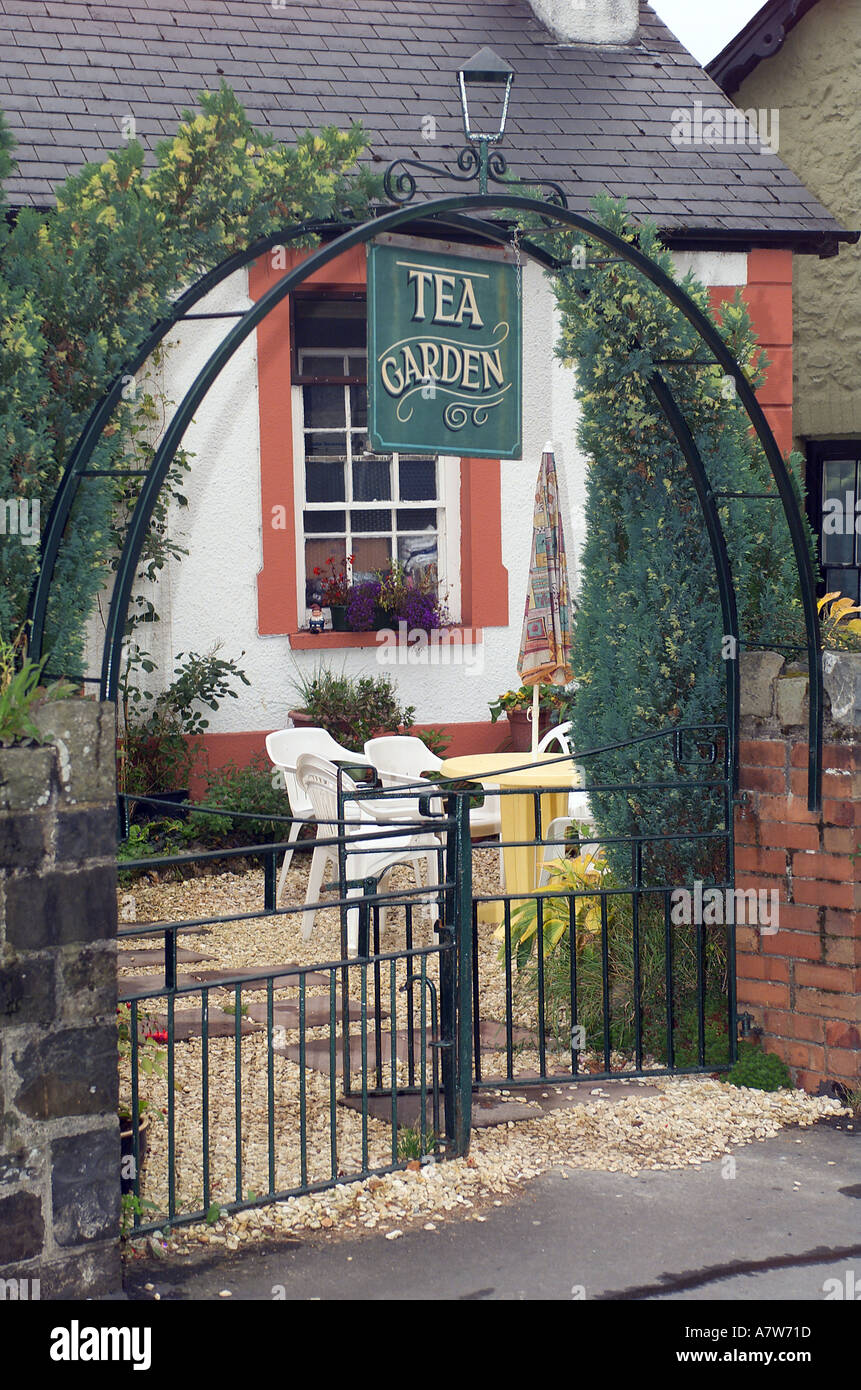 Viehtreiber Rest Restaurant und Tee Zimmer, Inhaber und Küchenchef Pete Thomas serviert feine vegetarische Speisen Llanwrtyd Wells Mitte Wales HJ Stockfoto