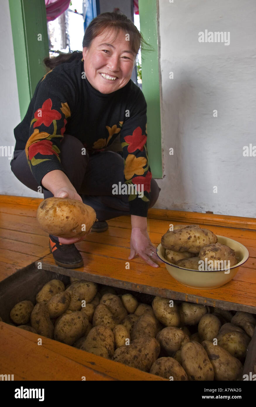 Frau setzen Kartoffeln im Haus für die Erhaltung Stockfoto