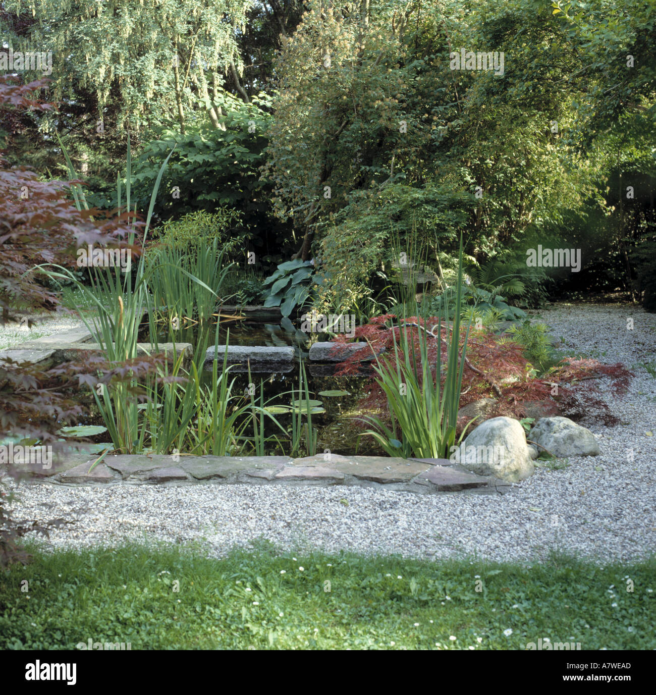kies im garten, grüne sträucher und kies einfassung kleinen ruhigen pool mit im, Design ideen