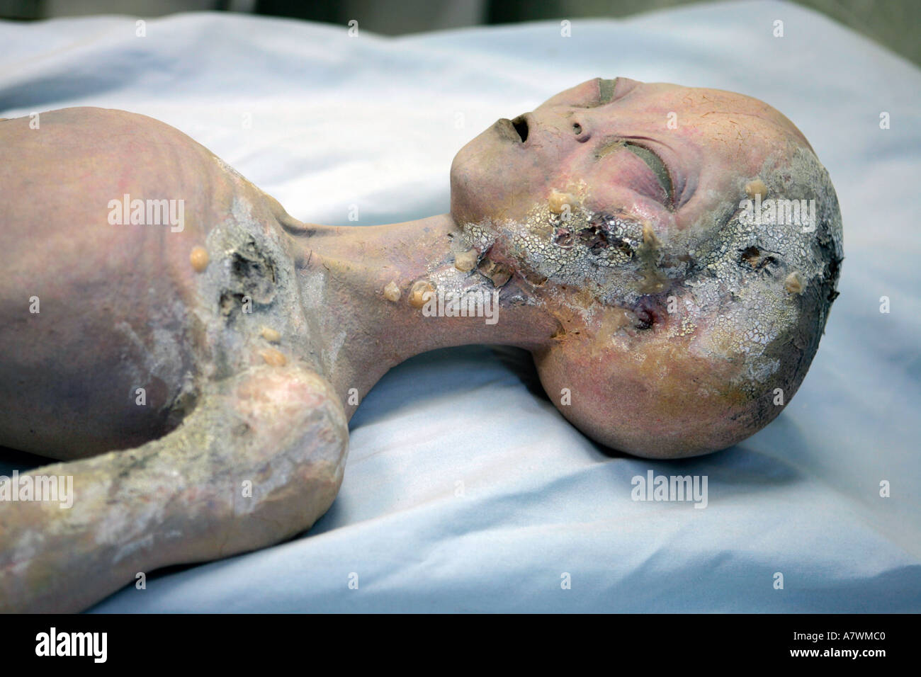 Schaufensterpuppe, die Darstellung eines Ausländers am Roswell International UFO Museum und Forschungszentrum New Mexico Stockfoto