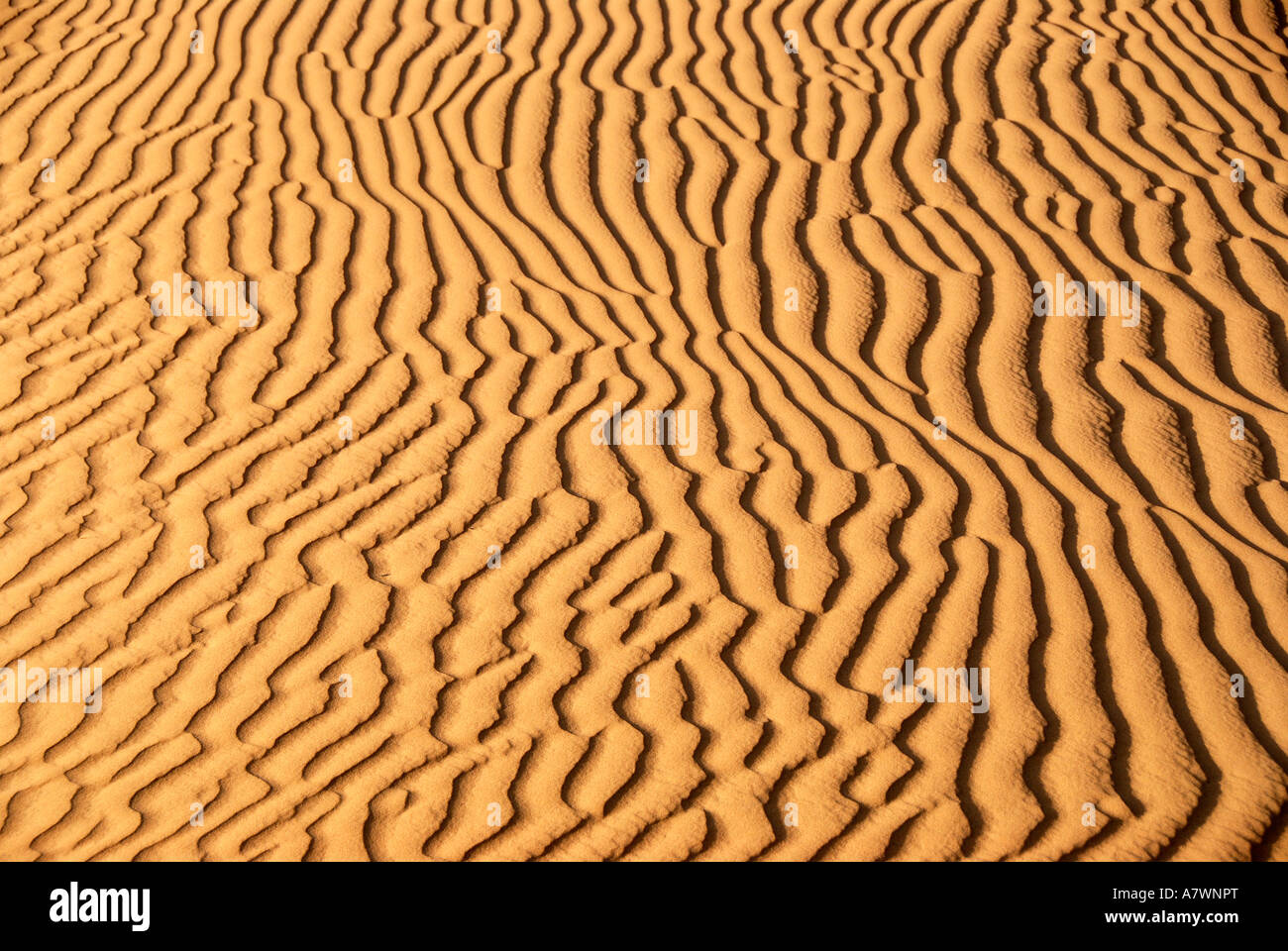 Wellpappe Sand Erg Chebbi Merzouga-Marokko Stockfoto