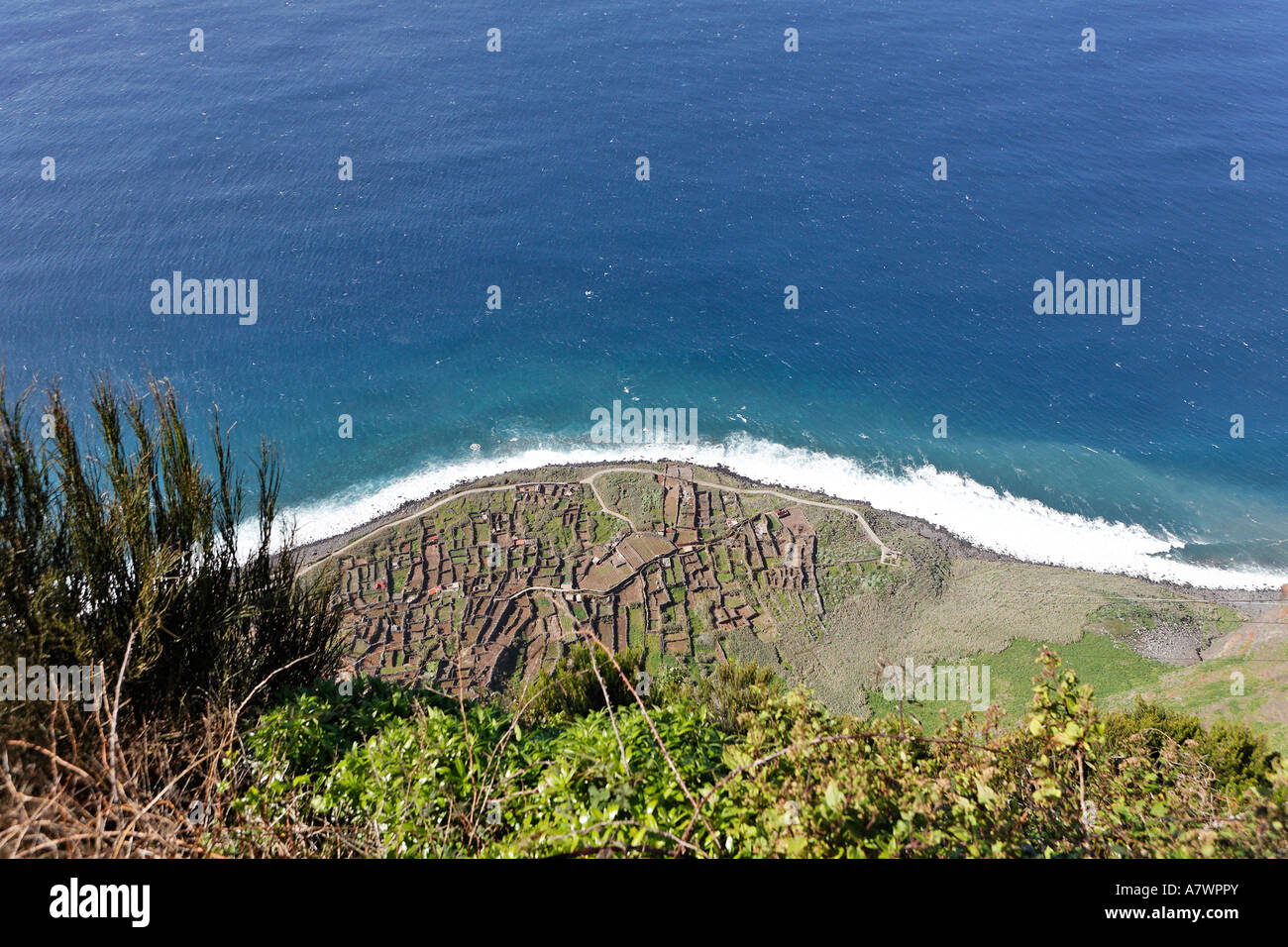 Felder am unteren Rand der Klippen, die nur mit der Seilbahn, Achadas da Cruz, Madeira, Portugal erreicht werden Stockfoto