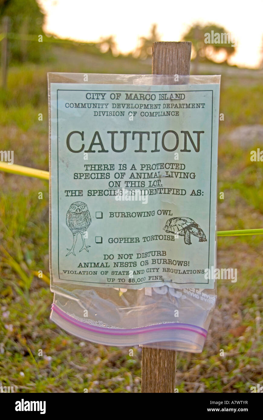 Kanincheneule Zeichen Schutz Marco Island, Florida Stockfoto