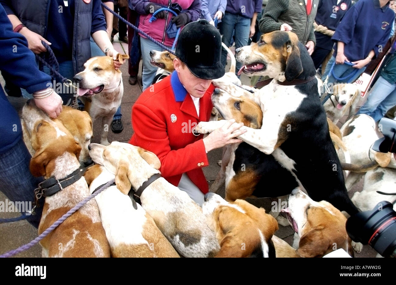 Ein Master Of Hounds in rote Jacke mit seinen Hunden auf pro Jagd Kundgebung während der Labour-Parteitag 2004 Stockfoto