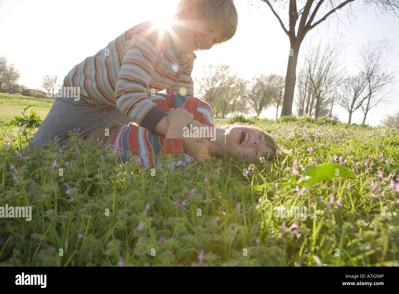 zwei Jungs spielen in Blumenfeldern bei Sonnenuntergang Stockfoto