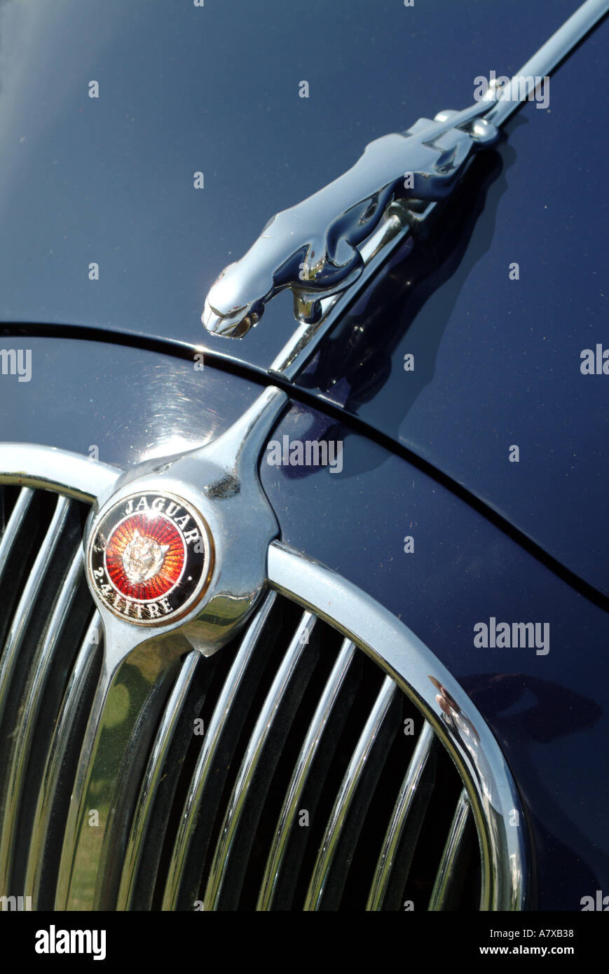 Kühlergrill von Jaguar Mk 2 Stockfoto