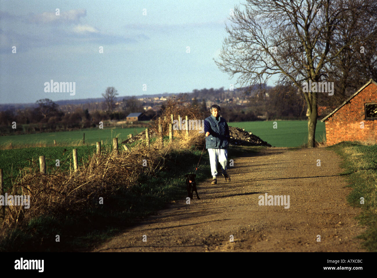 Übung eine reife Dame geht ihr Hund in der englischen Landschaft Stockfoto