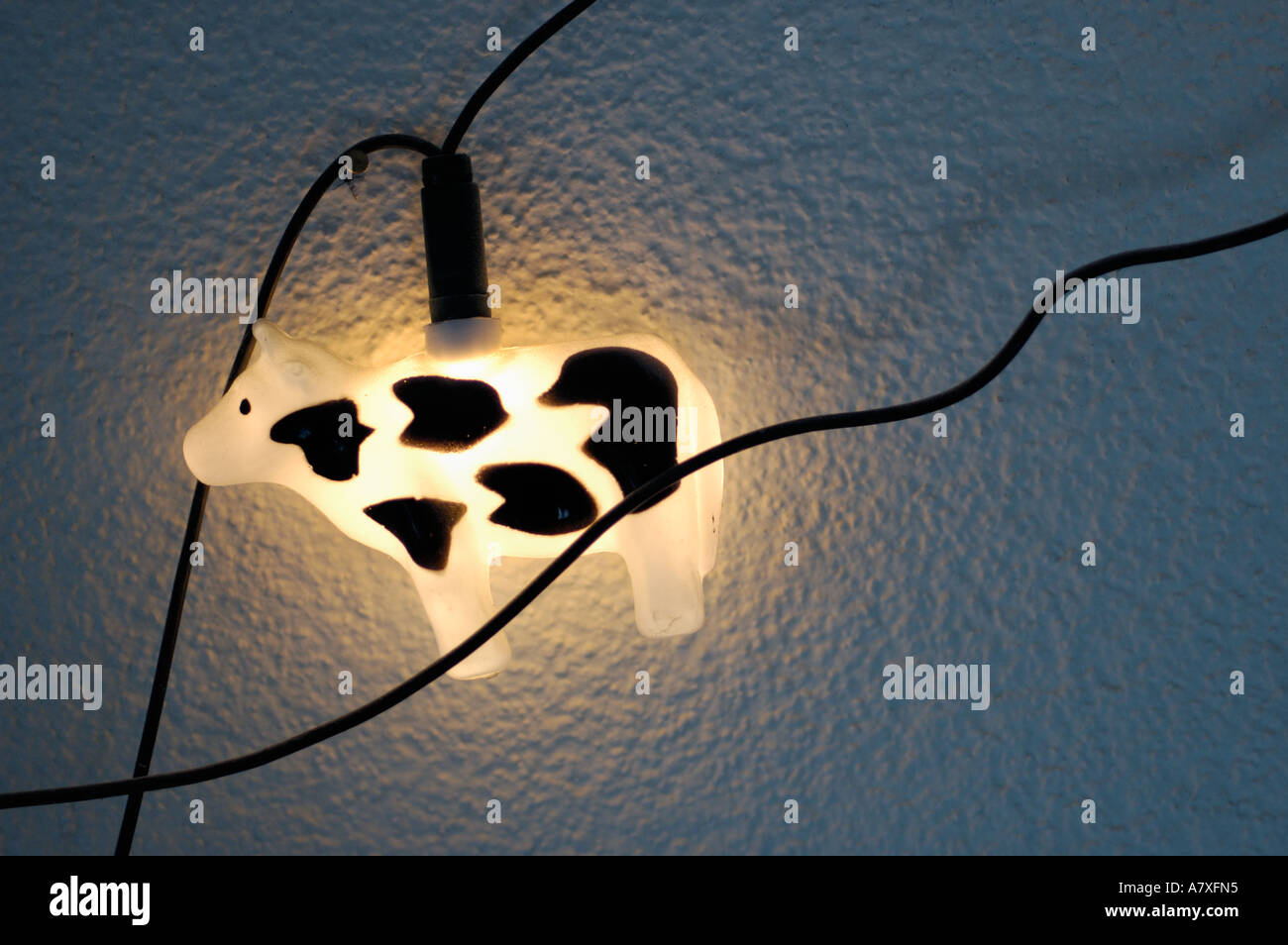 Kuh-Lichterkette. (c) von Uli Nusko, ch-3012 bern Stockfotografie - Alamy