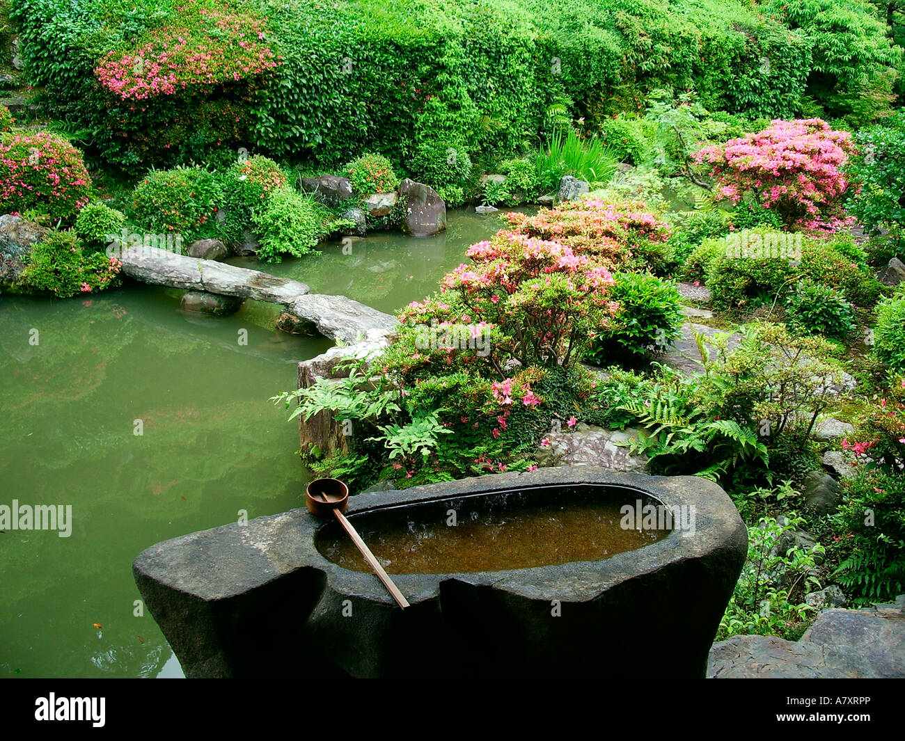 Asien, Japan, Kyoto. ZenGarten Stockfotografie Alamy