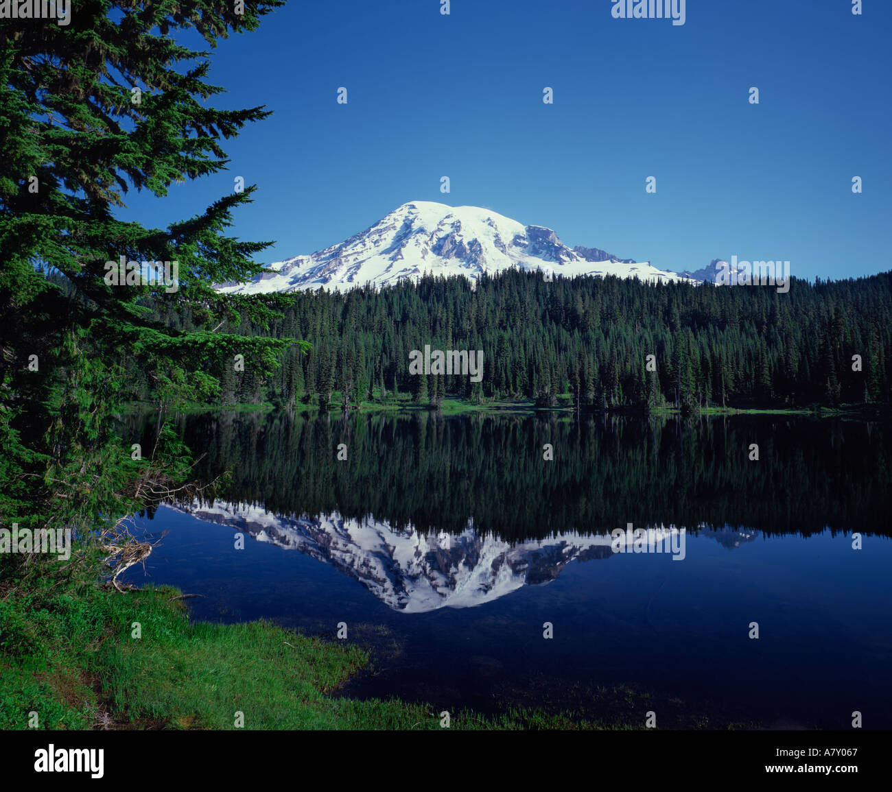 Mount Rainier in Mt Rainier National Park im US-Bundesstaat Washington USA Stockfoto