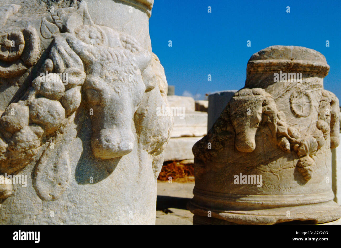 Griechenland, Ägäis, Delos. Antiken griechisch-römischen Ruinen. Geschnitzte Bull Köpfe auf Marmorsäulen auf dem Heiligen Weg. Stockfoto