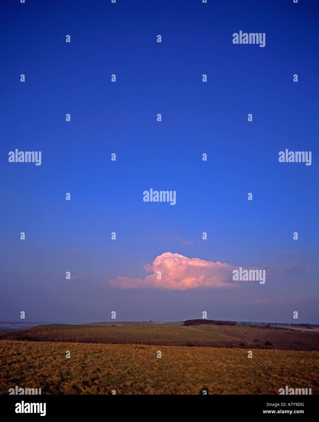 Kreide Downland mit blauem Himmel und grass Hang Cranborne Chase Dorset England UK Europe Stockfoto