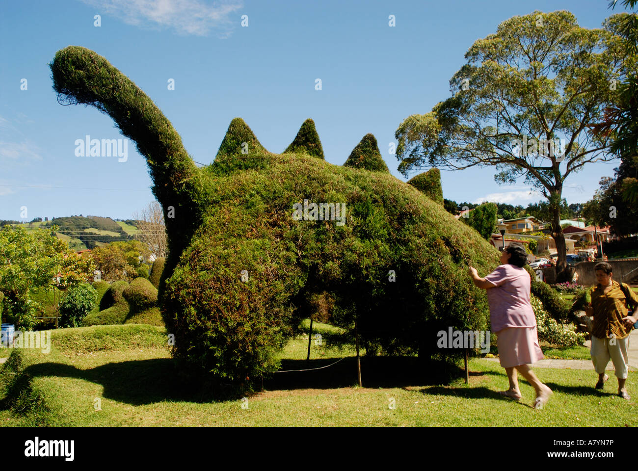 Costa Rica, Zarcero, topiary Dinosaurier Stockfoto