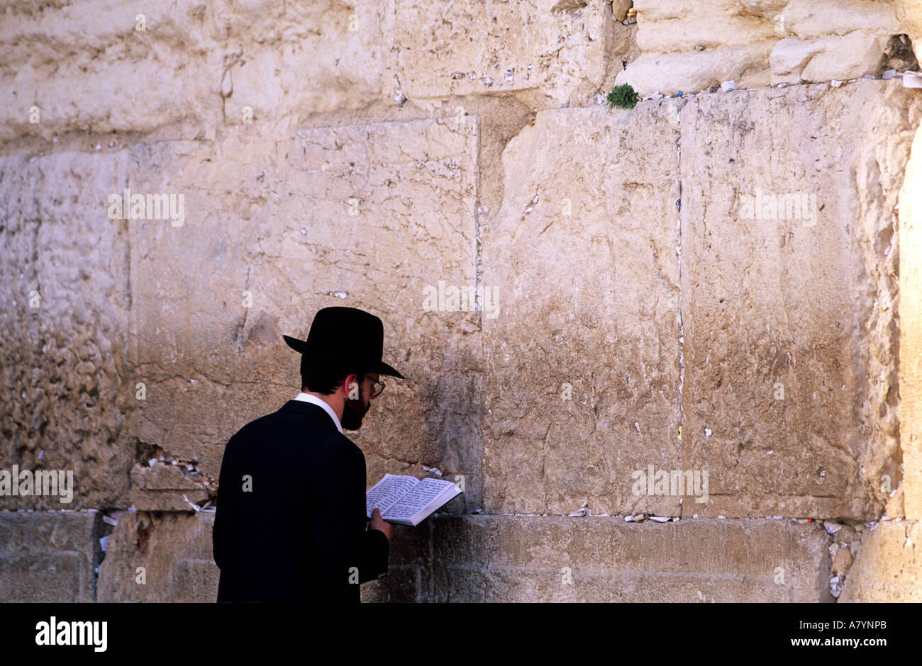 Israel, Judäa Bereich, Jerusalem, Chassid Juden beten vor der Klagemauer Stockfoto