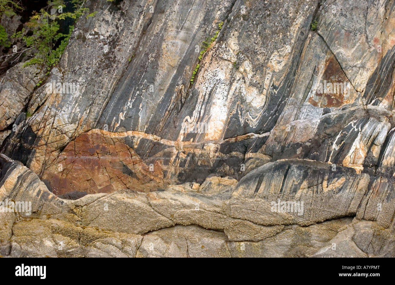 Nordamerika, USA, Alaska, Misty Fjords National Monument und Wildnis, Felswand mit Quarz. Stockfoto