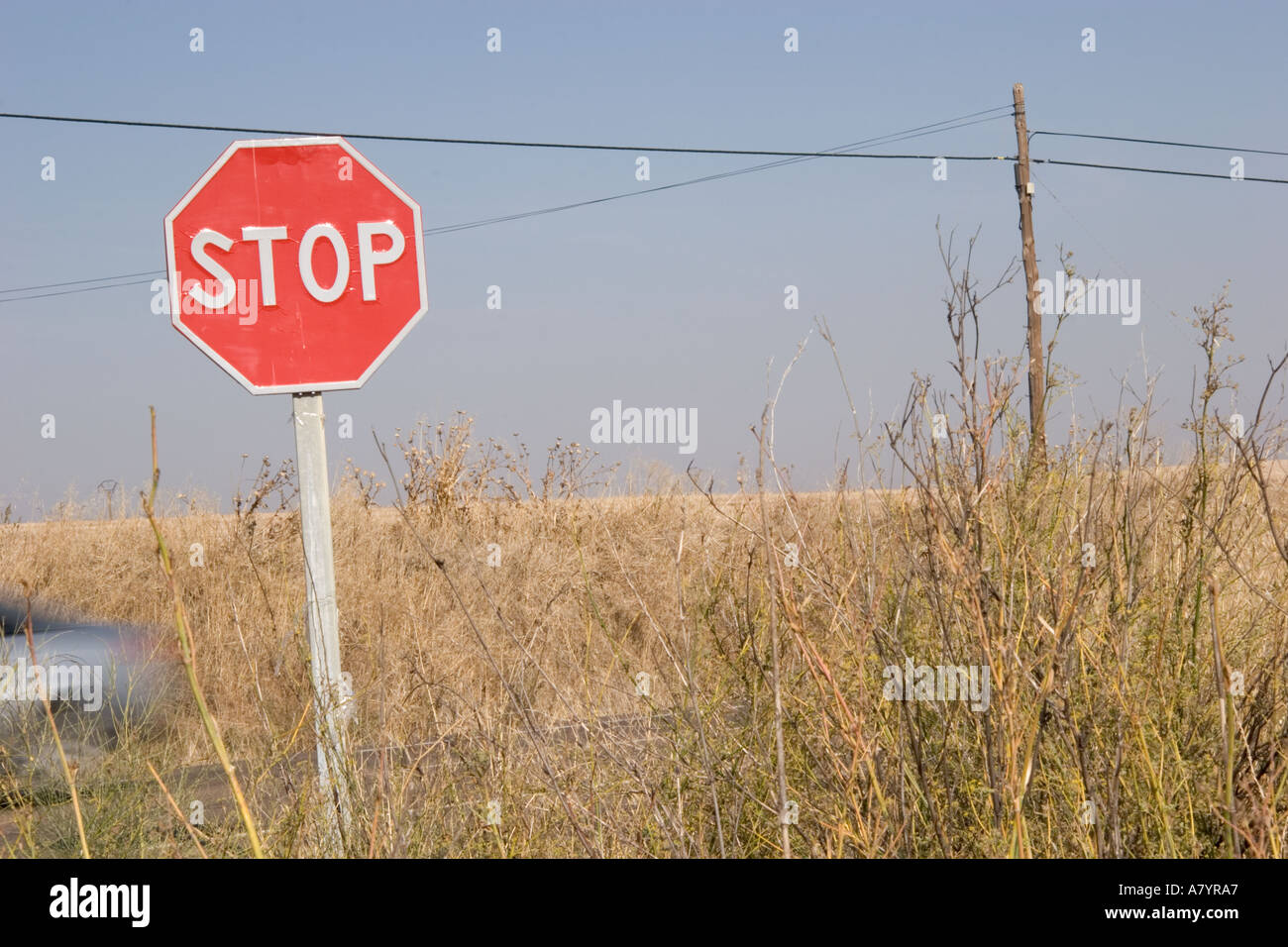 Gefährliche Kreuzung mit Stop melden aber schlechten Sicht Stockfoto