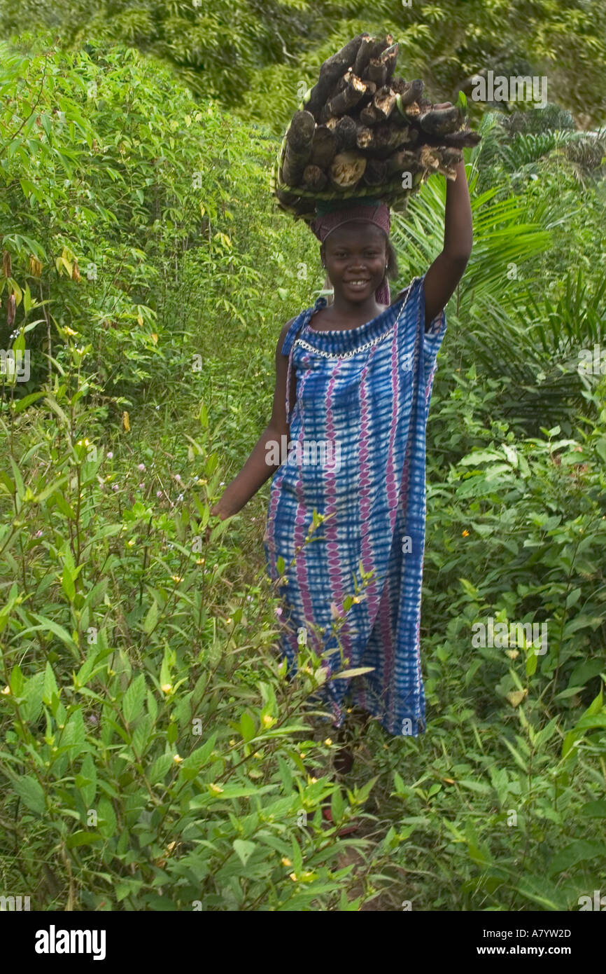 Junge afrikanische Teenager-Mädchen, die Holz für Holzkohle in einem Korb auf dem Kopf, Ghana Westafrika Stockfoto