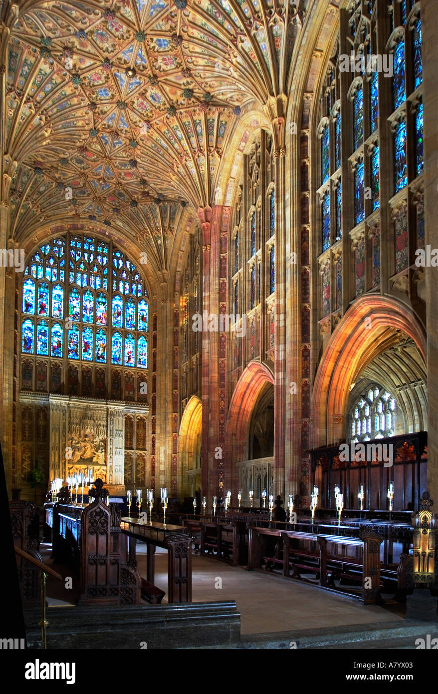 Sherborne Abbey in Dorset England zeigen die berühmten Fan Gewölbe, die im 15. Jahrhundert hinzugefügt wurde Stockfoto